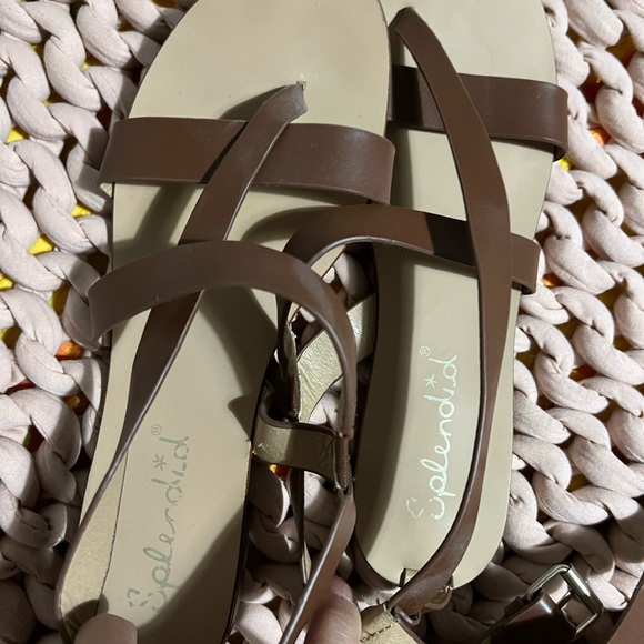 Splendid - Picture 2 of 8